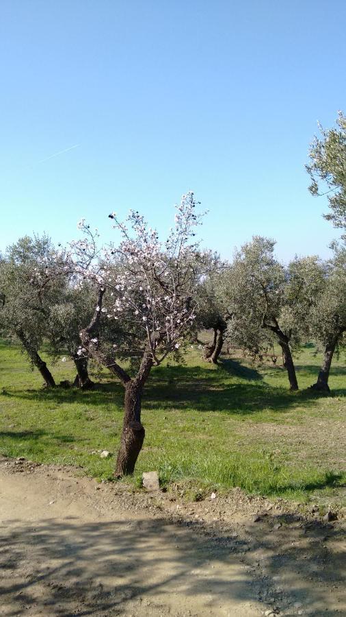 Cal Joanet, Acollidora Caseta A Gratallops Extérieur photo